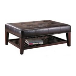 Bowery Hill Faux Leather Coffee Table Ottoman in Brown and Cappuccino