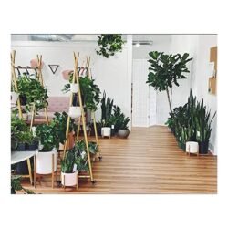 FURVOKIA Modern Simple Heavy Duty Metal X Type Rolling Garment Rack with Wheel ,Retail Display Clothing Rack,Iron Floor-Standing Shoes Bags Clothes Organizer Storage Shelves (Rose Gold, 59" L)