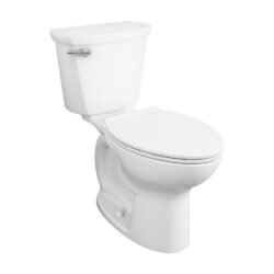 American Standard 215FC104.021 Toilet with 14-in Rough, Bone