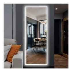 NeuType 65"x22" LED Mirror Full Length Dressing Mirror Large Rectangle Bedroom Bathroom Living Room Mirrors with Touch Button and Plug, Dimmable Lighting, Stepless Dimming, Burst-proof Glass, Anti-fog